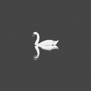 俄罗斯熟妇性猛交
